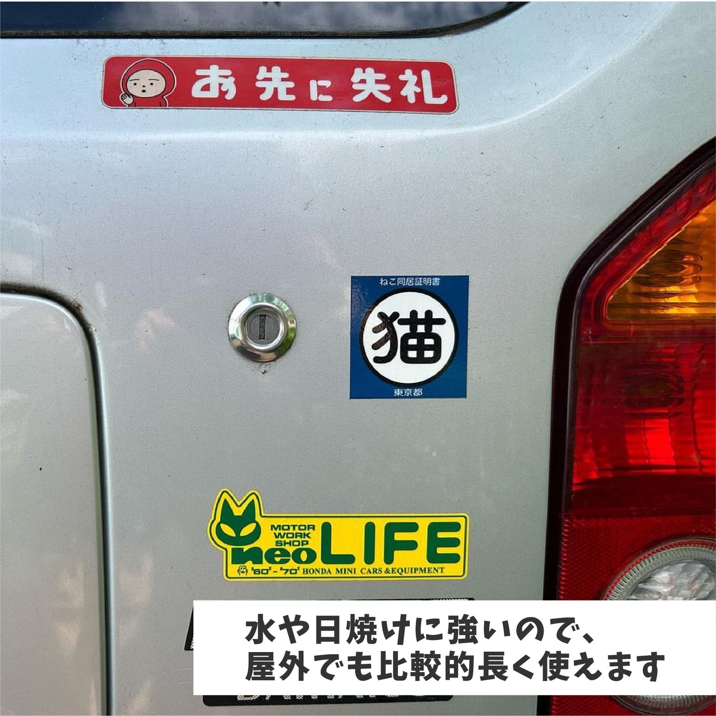 Cat living certificate sticker